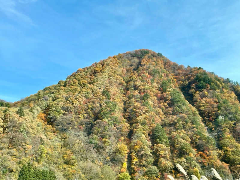 ばこちさんの高崎 京ヶ島天然温泉 湯都里のサ活写真