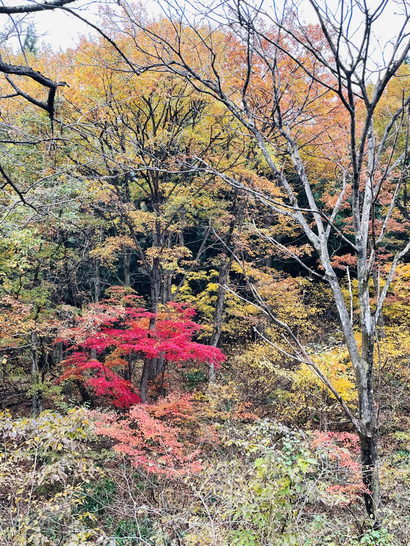 ばこちさんの江戸川区立 塩沢江戸川荘のサ活写真