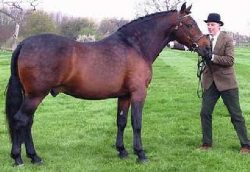 yusuke.Kさんのサウナきさらづ つぼやのサ活写真