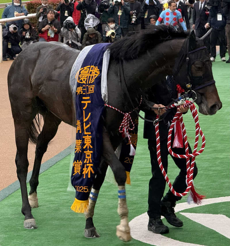 yusuke.Kさんのスパ&カプセル ニューウイングのサ活写真
