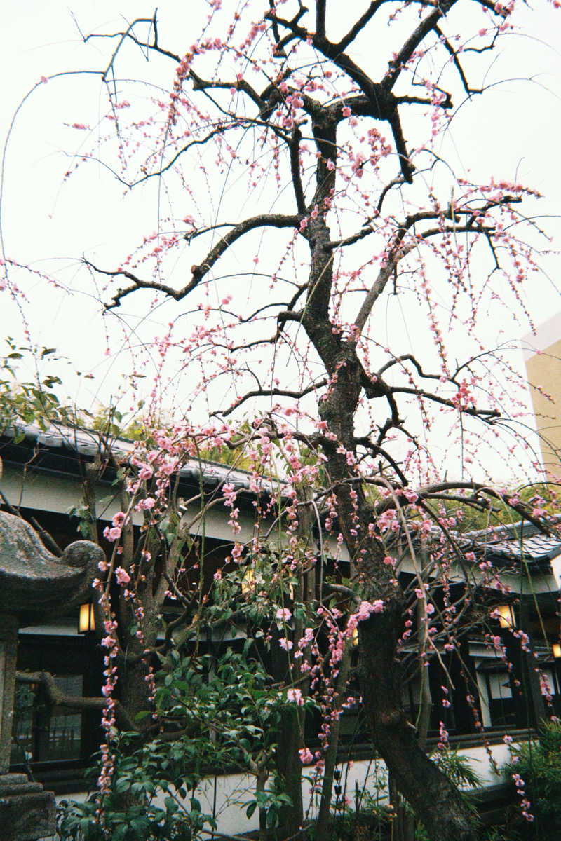nakanakaさんの多摩境天然温泉 森乃彩のサ活写真