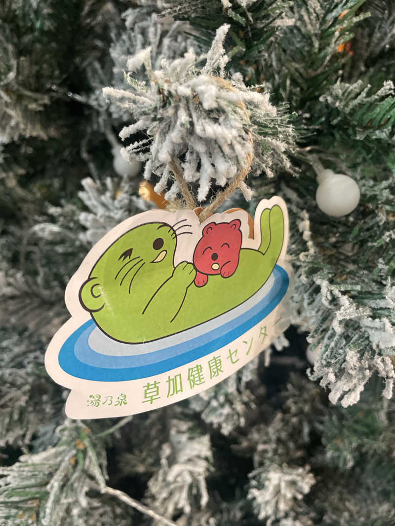 ひーろゆきさんの湯乃泉 草加健康センターのサ活写真