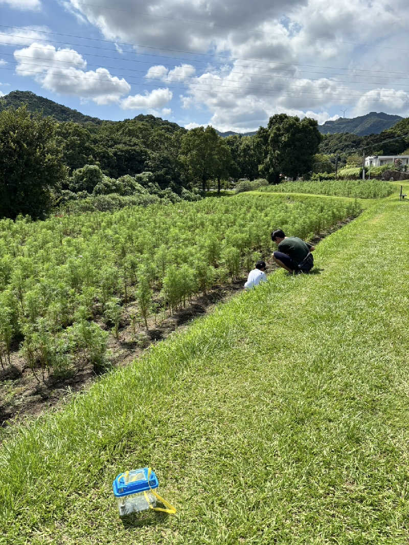 やま@サウナーさんの湯の川温泉のサ活写真
