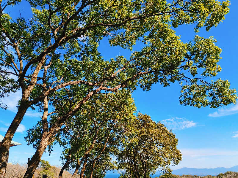 やま@サウナーさんの慈眼寺温泉のサ活写真