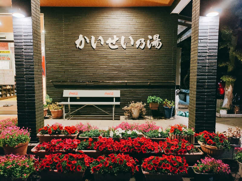 やま@サウナーさんのかいせい乃湯のサ活写真