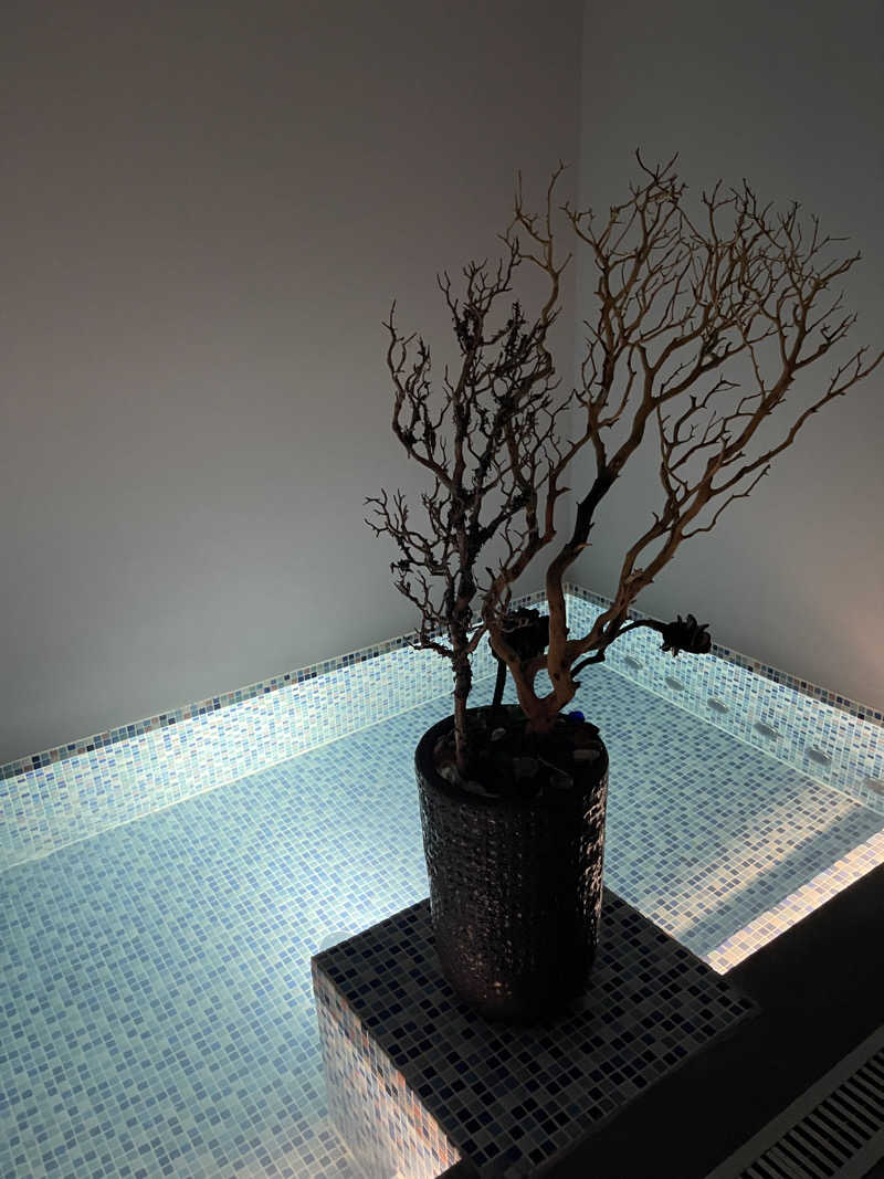 フジさんのsauna kolme kylä (サウナ コルメ キュラ)のサ活写真