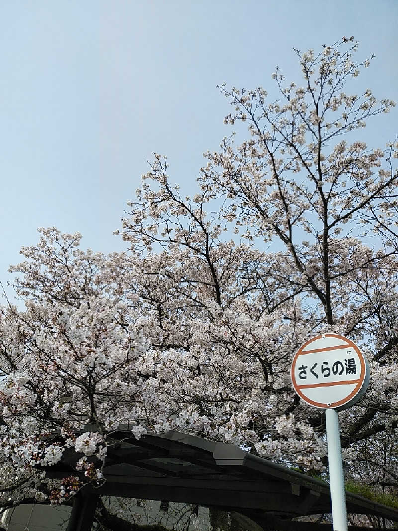 （モリシ）さんの東温市ふるさと交流館さくらの湯のサ活写真