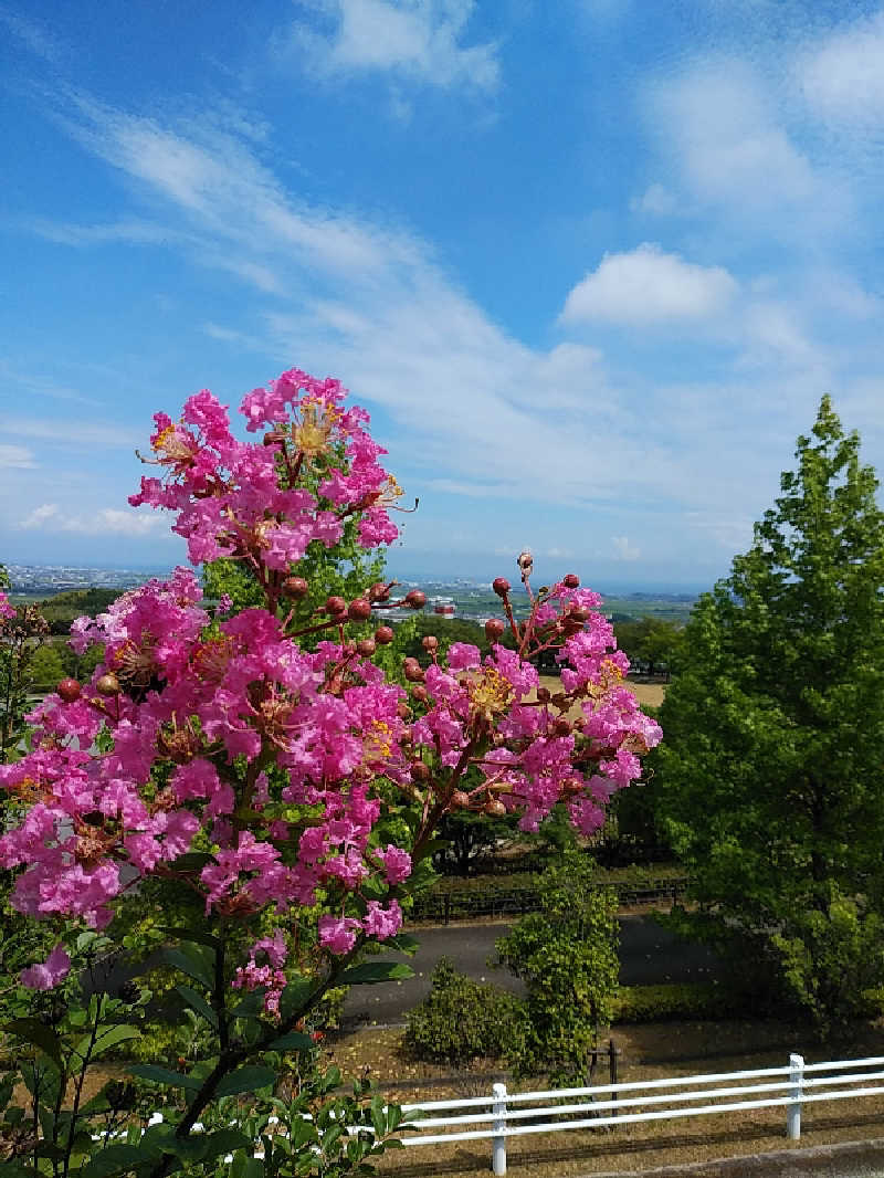 （モリシ）さんの椿交流館 椿温泉こまつのサ活写真