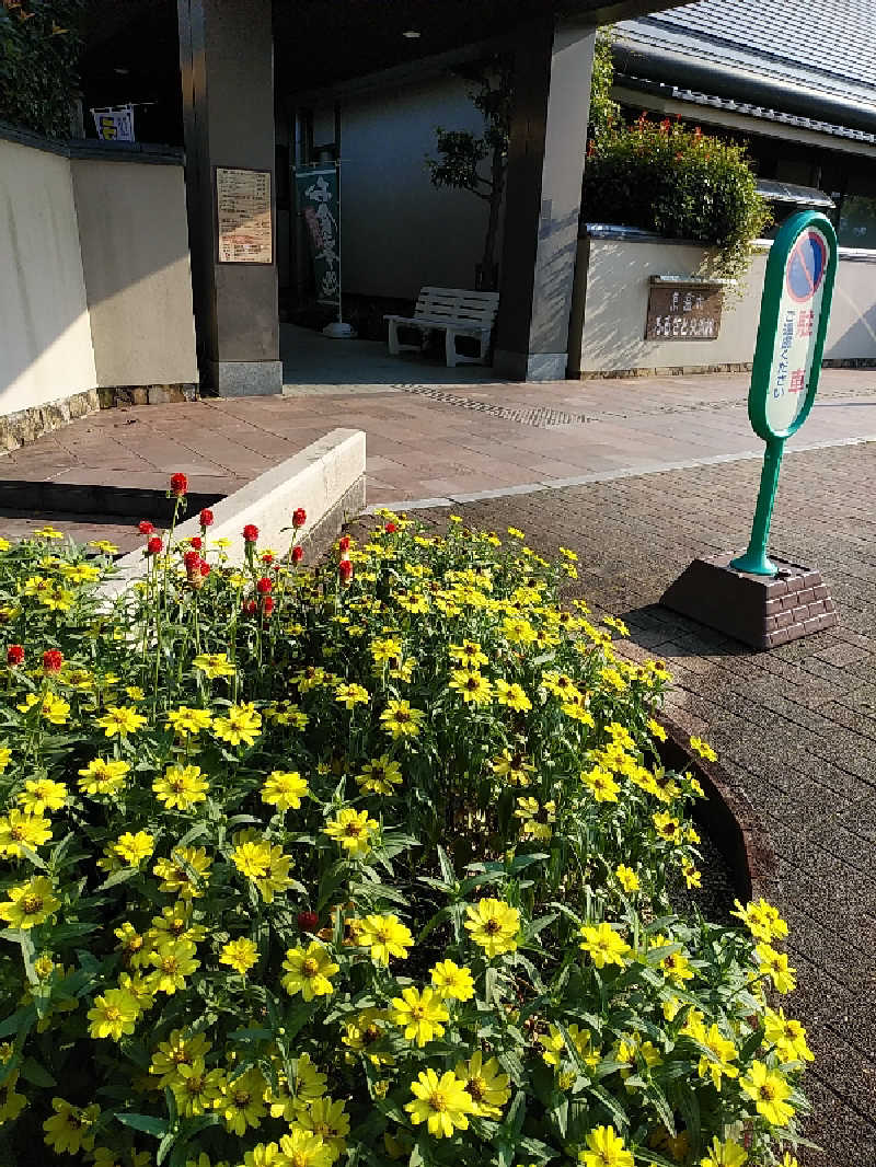 （モリシ）さんの東温市ふるさと交流館さくらの湯のサ活写真