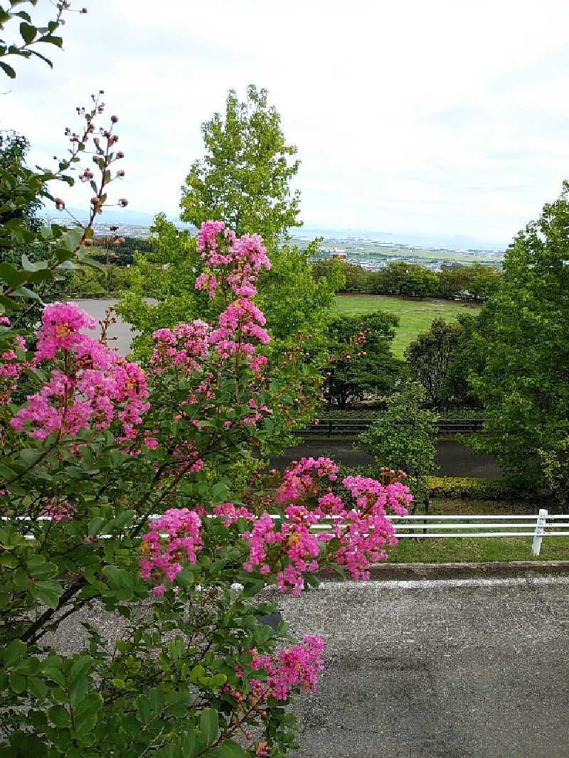 （モリシ）さんの椿交流館 椿温泉こまつのサ活写真