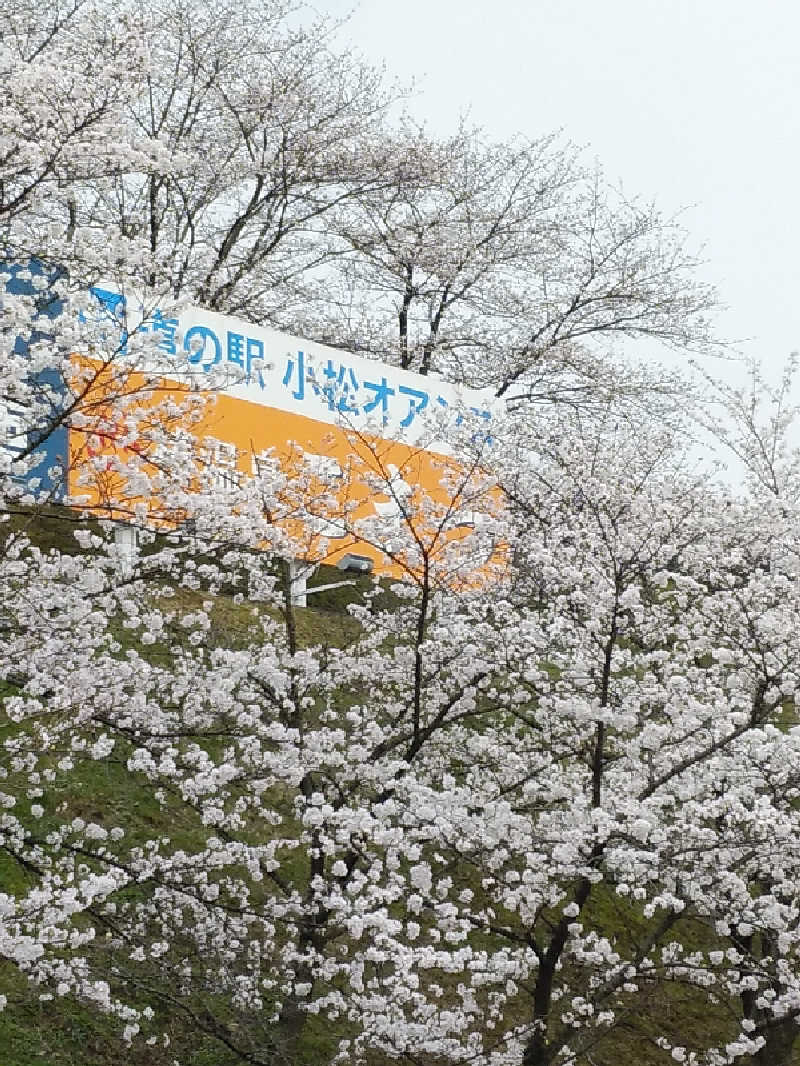 （モリシ）さんの椿交流館 椿温泉こまつのサ活写真
