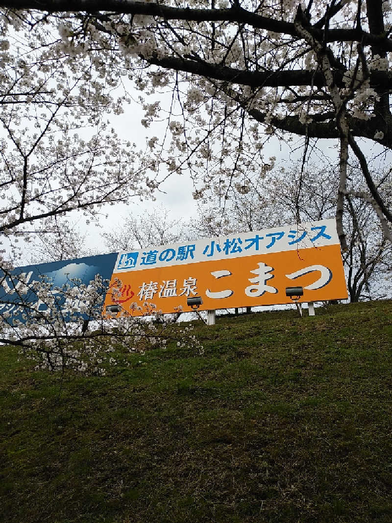 （モリシ）さんの椿交流館 椿温泉こまつのサ活写真