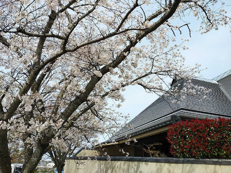 （モリシ）さんの東温市ふるさと交流館さくらの湯のサ活写真