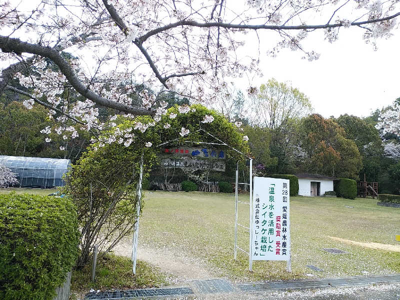 （モリシ）さんの湯ノ浦温泉四季の湯ビア工房のサ活写真