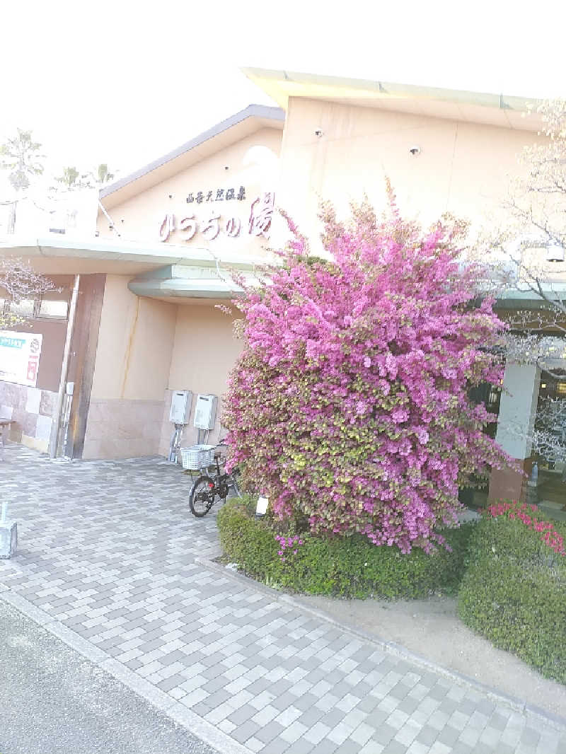 （モリシ）さんの西条天然温泉 ひうちの湯のサ活写真