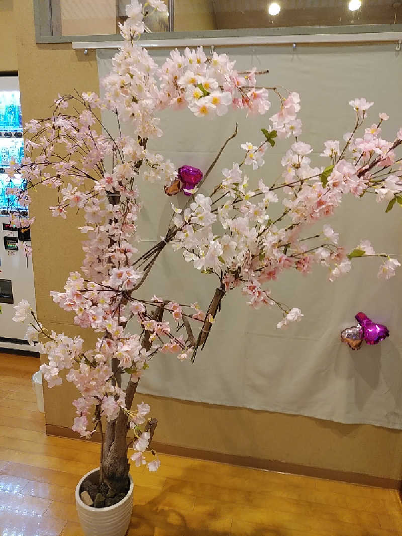 （モリシ）さんの西条天然温泉 ひうちの湯のサ活写真