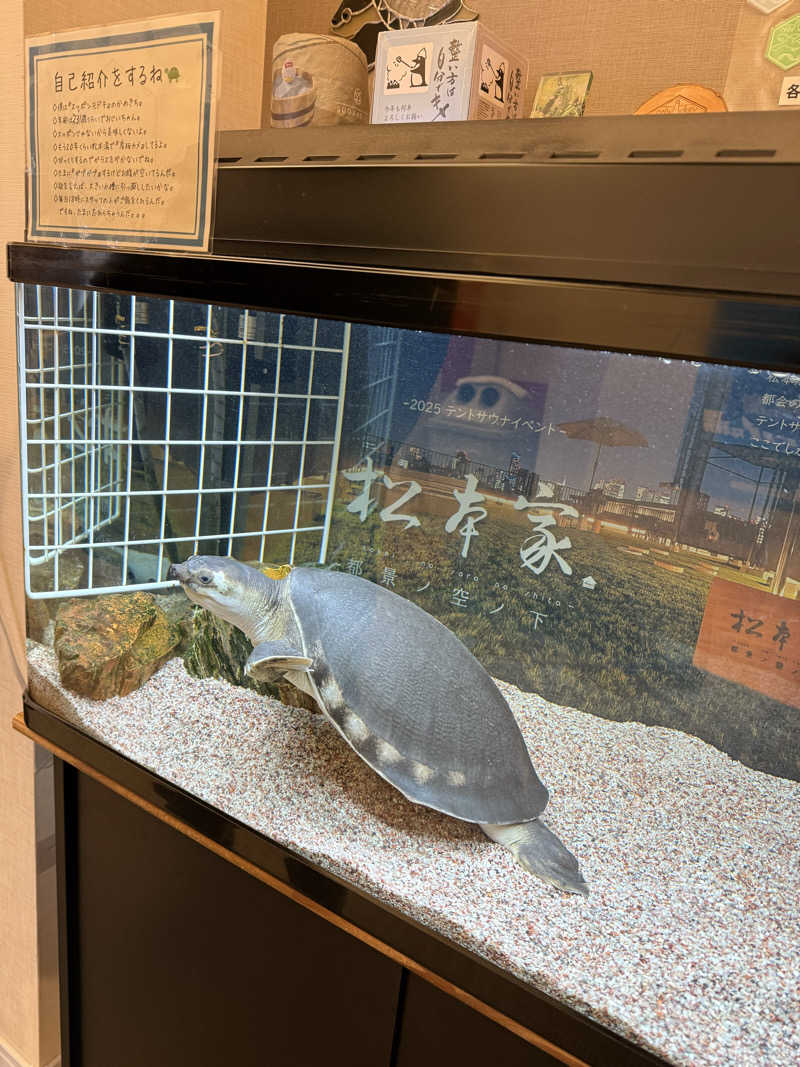 精神科看護師さんの松本湯のサ活写真