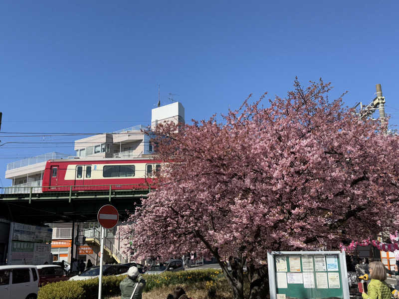 空之輔さんの亀遊舘のサ活写真