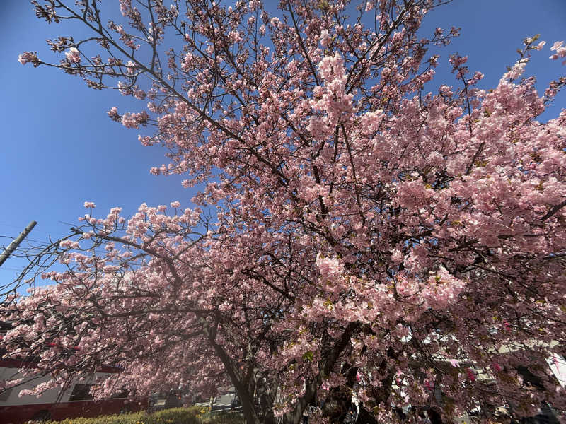 空之輔さんの亀遊舘のサ活写真