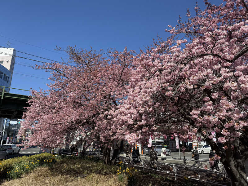 空之輔さんの亀遊舘のサ活写真