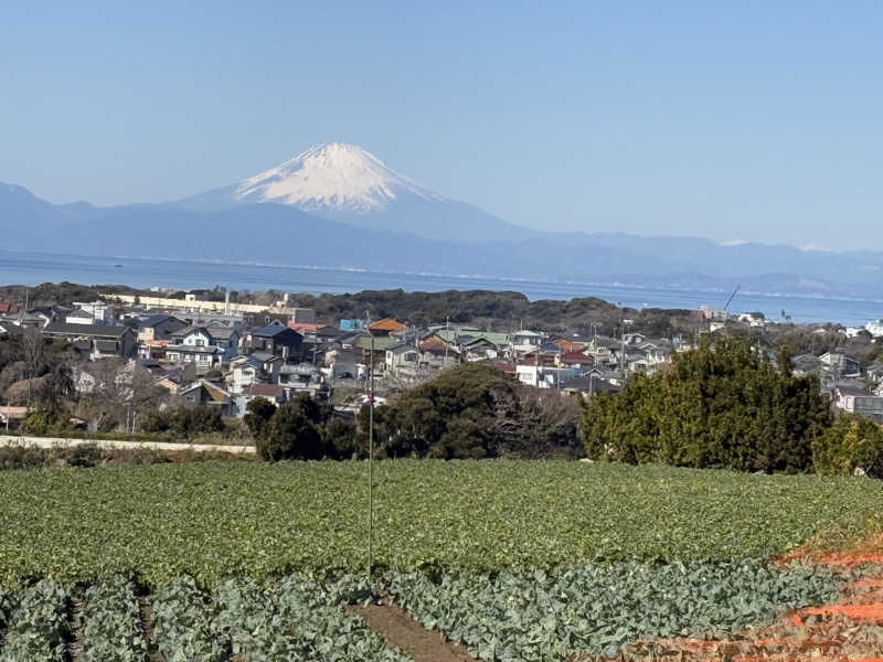空之輔さんの亀遊舘のサ活写真