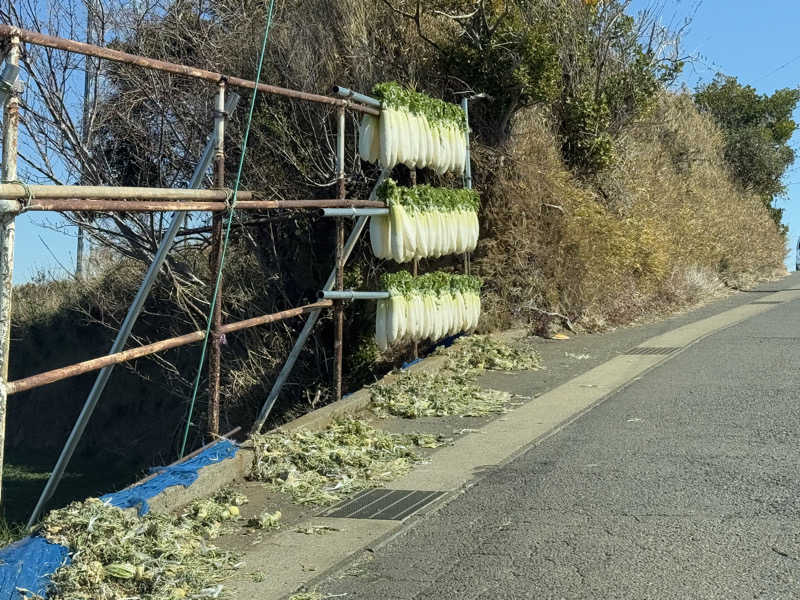 空之輔さんの亀遊舘のサ活写真
