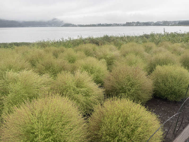 空之輔さんのスパリゾート オアシス御殿場のサ活写真