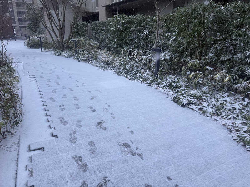 空之輔さんの亀遊舘のサ活写真