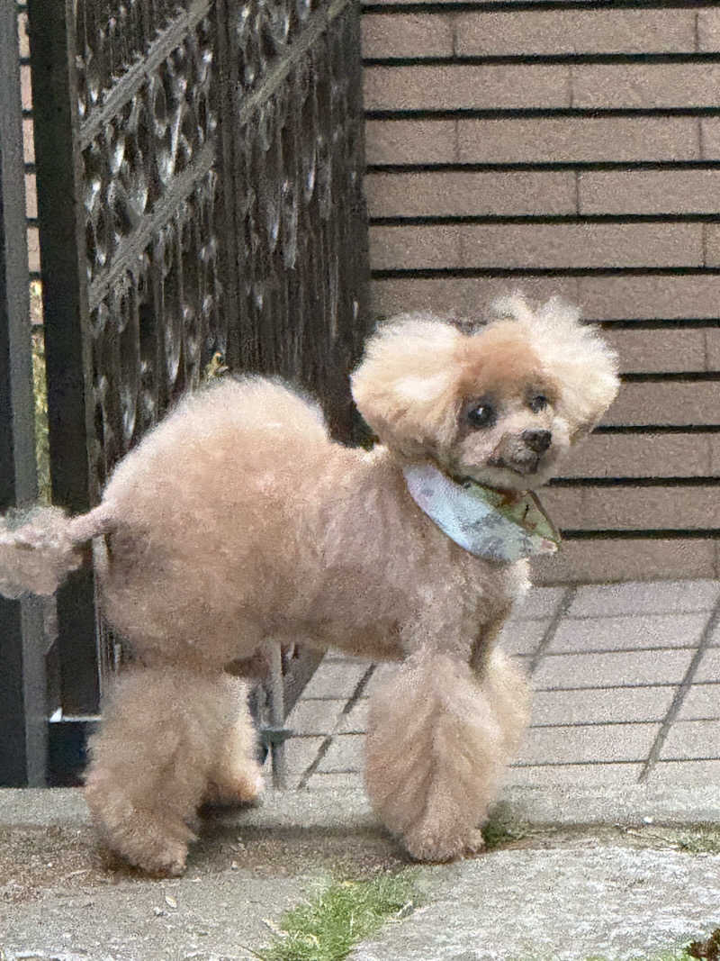 空之輔さんのセントラルウェルネスクラブ能見台のサ活写真