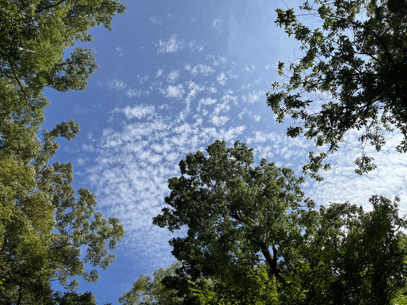 あしたの蒸さんのモダン湯治 おんりーゆーのサ活写真