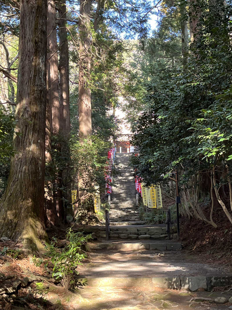 あしたの蒸さんのととのいの郷 秦野湯花楽のサ活写真
