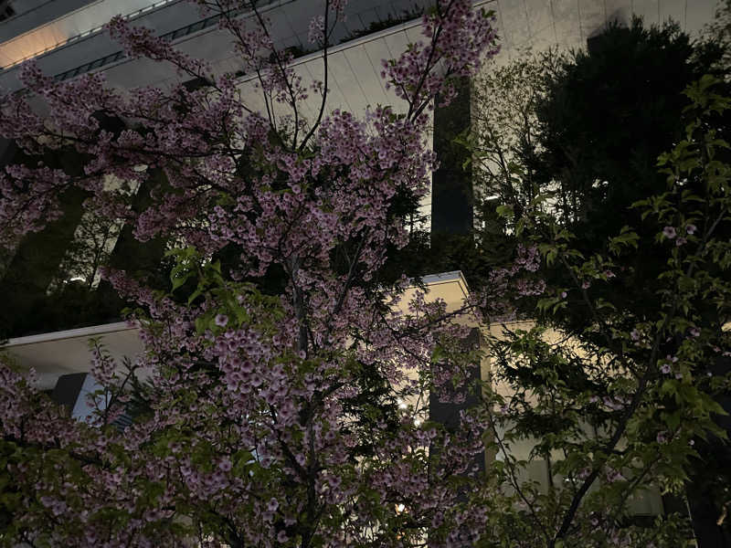 まひろさんの東京荻窪天然温泉 なごみの湯のサ活写真