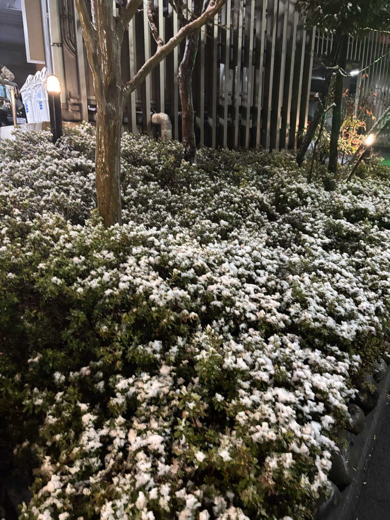 yuukiさんの稲城天然温泉 季乃彩(ときのいろどり )のサ活写真