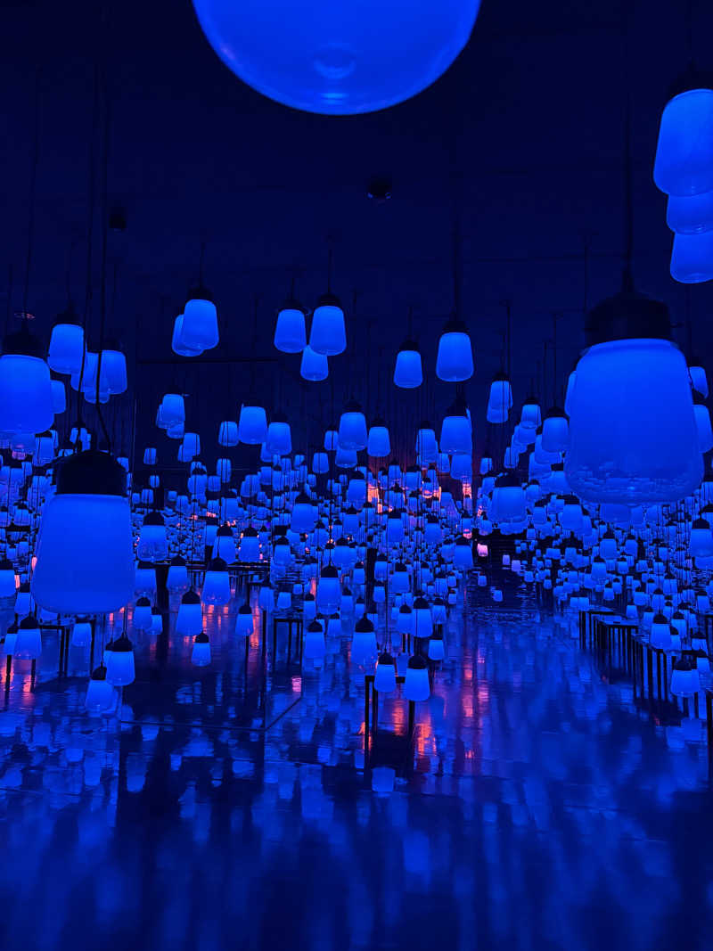 ヘムヘムTVさんの御船山楽園ホテル  らかんの湯のサ活写真