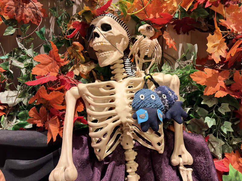 やむさんのおふろcafé ハレニワの湯のサ活写真