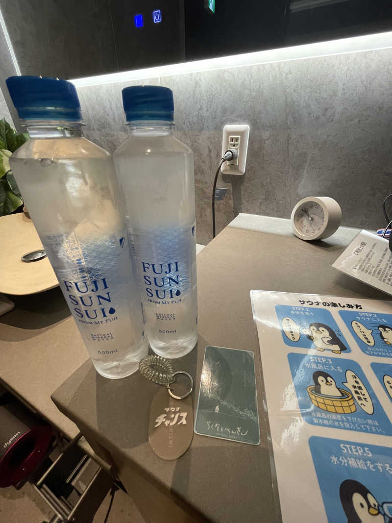 はのっくさんのらくだとぺんぎんのサ活写真