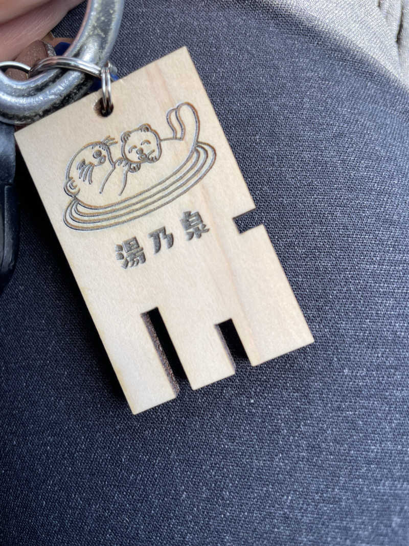 はのっくさんの湯乃泉 草加健康センターのサ活写真