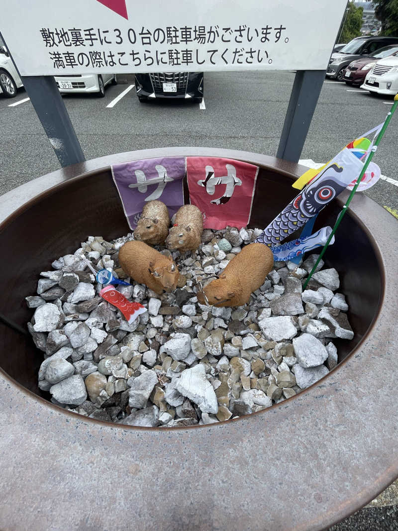 はのっくさんの富士山天然水SPA サウナ鷹の湯のサ活写真