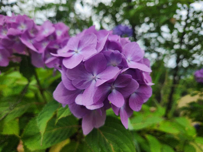 かっちゃんさんの天宿の杜 桂月のサ活写真