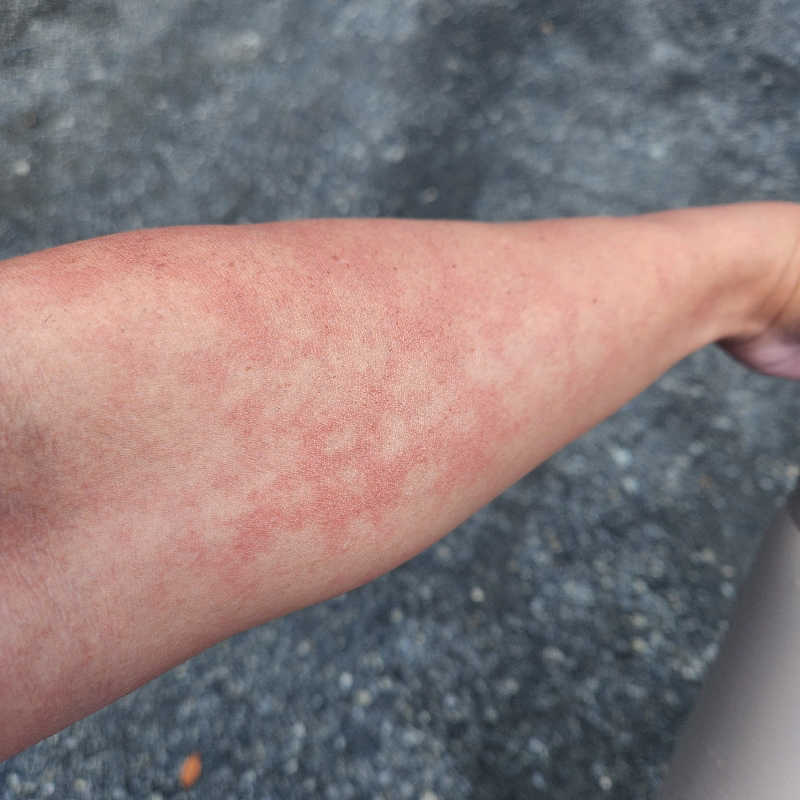 かっちゃんさんの天宿の杜 桂月のサ活写真