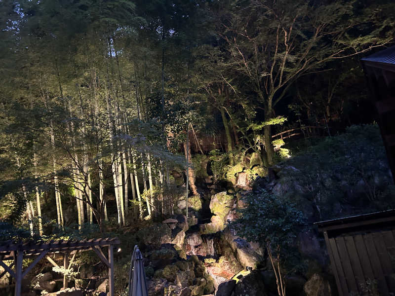 だいだいさんの箱根湯本温泉 天成園のサ活写真