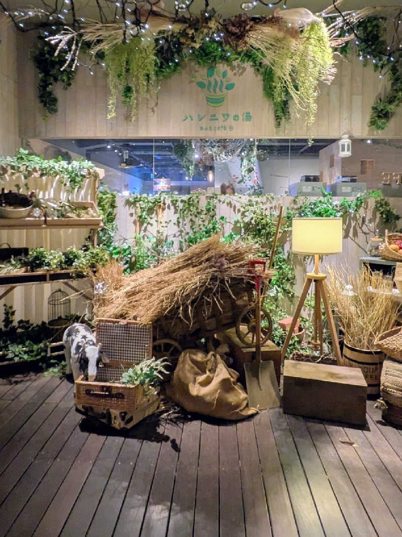 迅雷さんのおふろcafé ハレニワの湯のサ活写真
