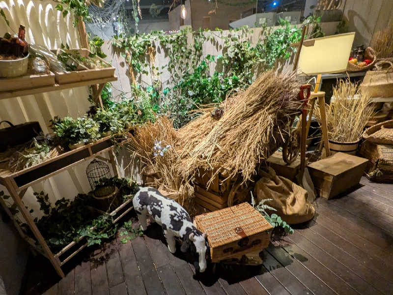 迅雷さんのおふろcafé ハレニワの湯のサ活写真