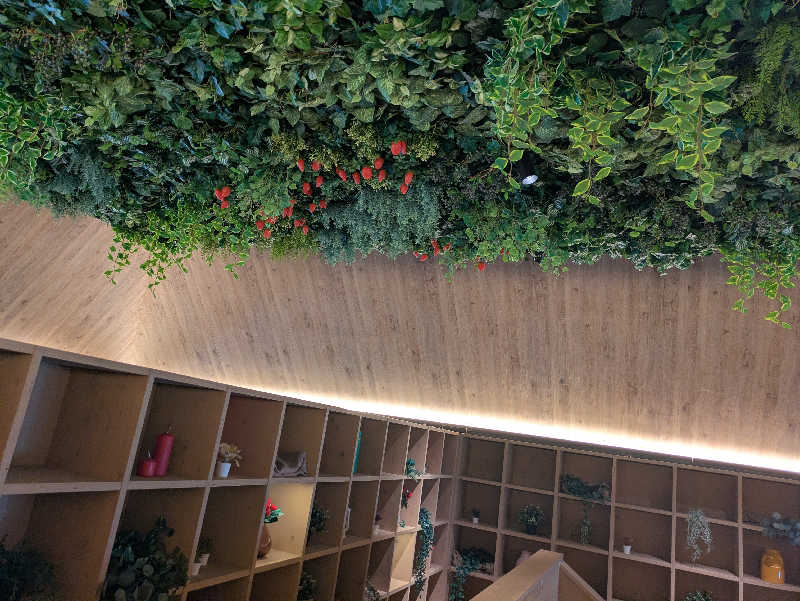 サウナ犬さんの真岡いがしら温泉 おふろcafe  いちごの湯のサ活写真