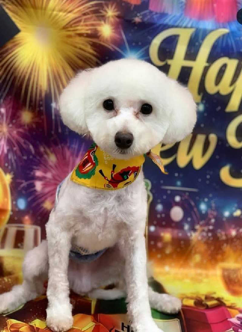 サウナ犬さんの野天風呂 湯の郷のサ活写真