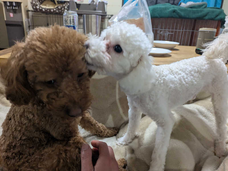 サウナ犬さんのさしま健康交流センター・遊楽里のサ活写真