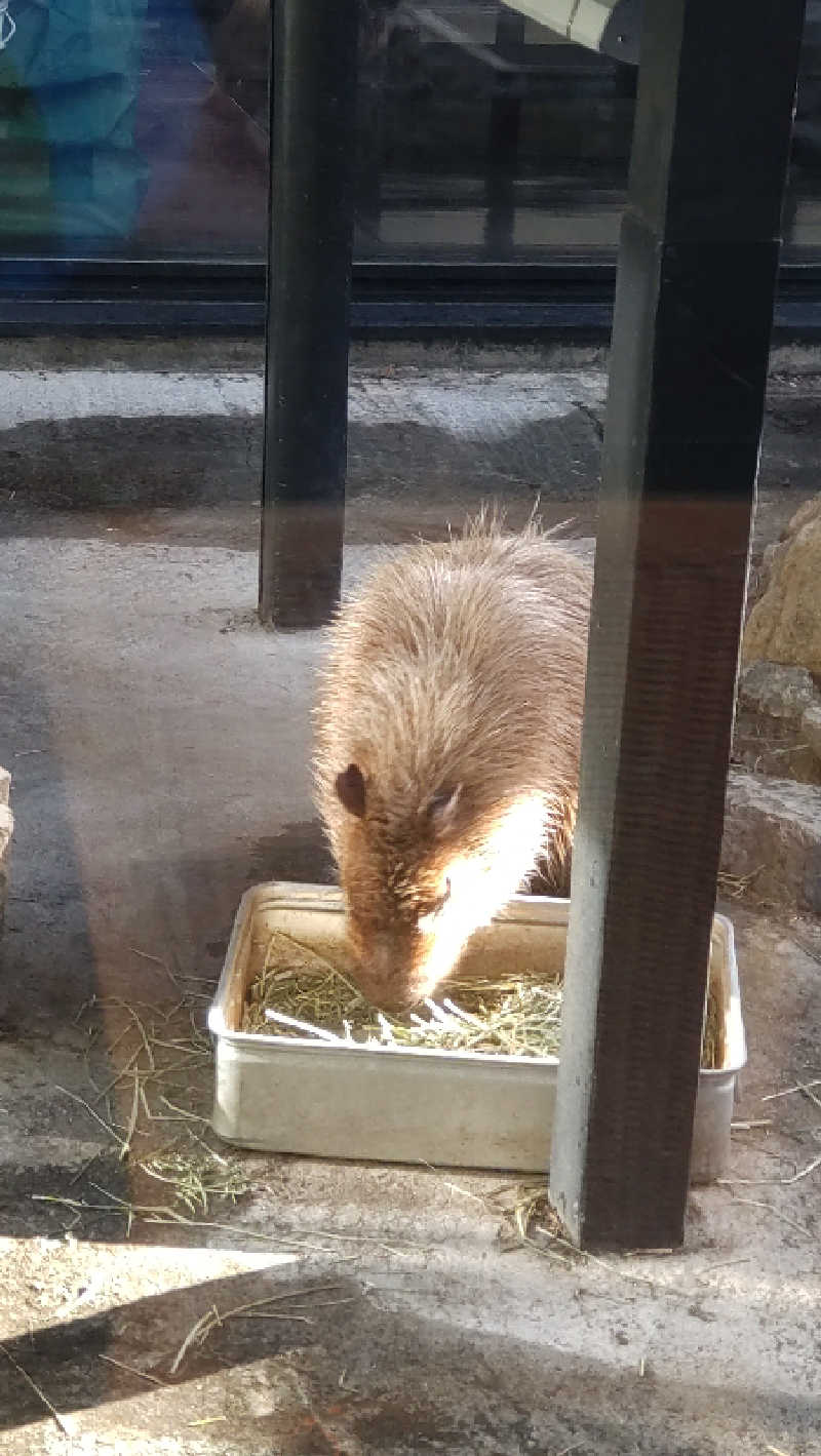 ハムオさんの石狩天然温泉 番屋の湯のサ活写真