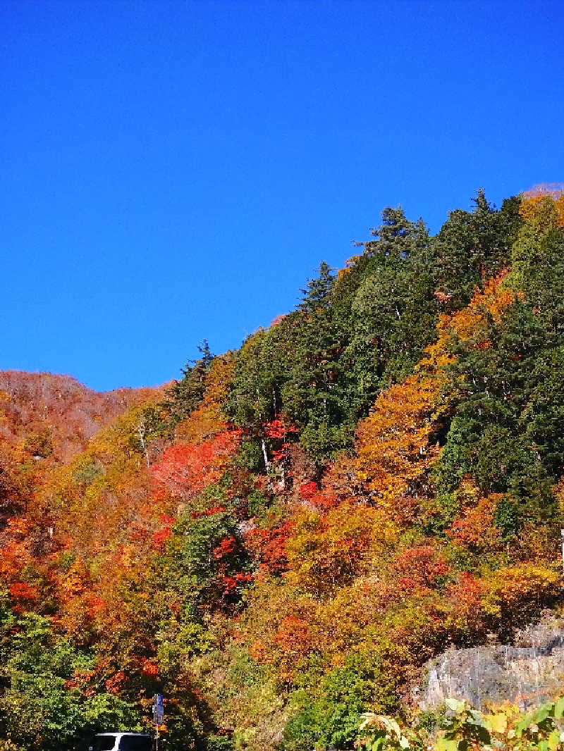 ともぞうさんのくろば温泉のサ活写真