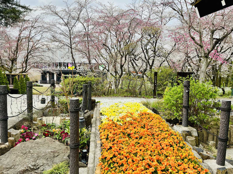 まんじうさんのよみうりランド眺望温泉 花景の湯のサ活写真