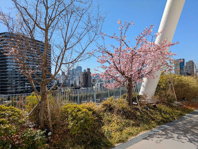 ZUMIさんのTOTOPA 都立明治公園店のサ活写真
